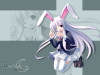udonge-wall-1600.jpg